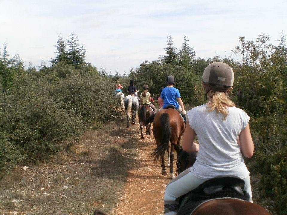 Centre équestre pour balade à cheval pour adulte en Provence