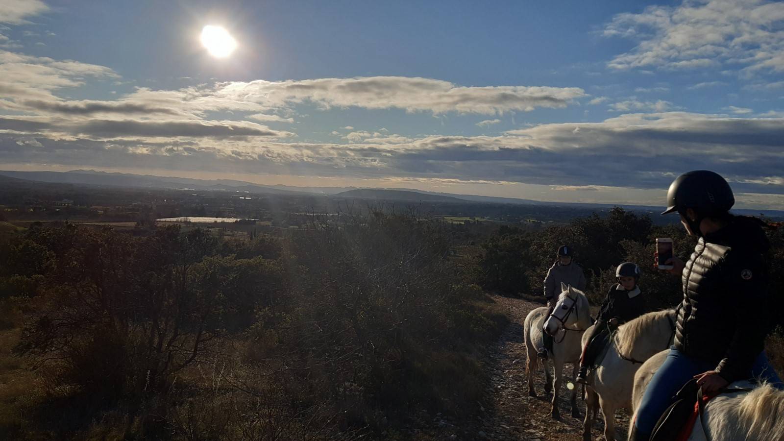balade à cheval en Provence avec le haras de lagnes